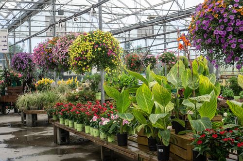 Sustainable Solutions Blossoming in Gardening Retail