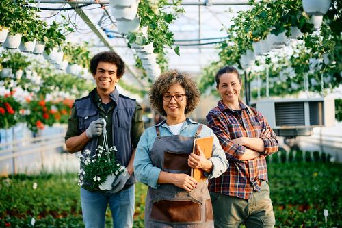 Boosting Eco-Friendly Sales in Garden Centres: Strategies for Effective Merchandising, Communication and Sustainability Practices