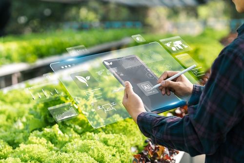 Smart Gardens: Technology's Impact on the Modern Gardener