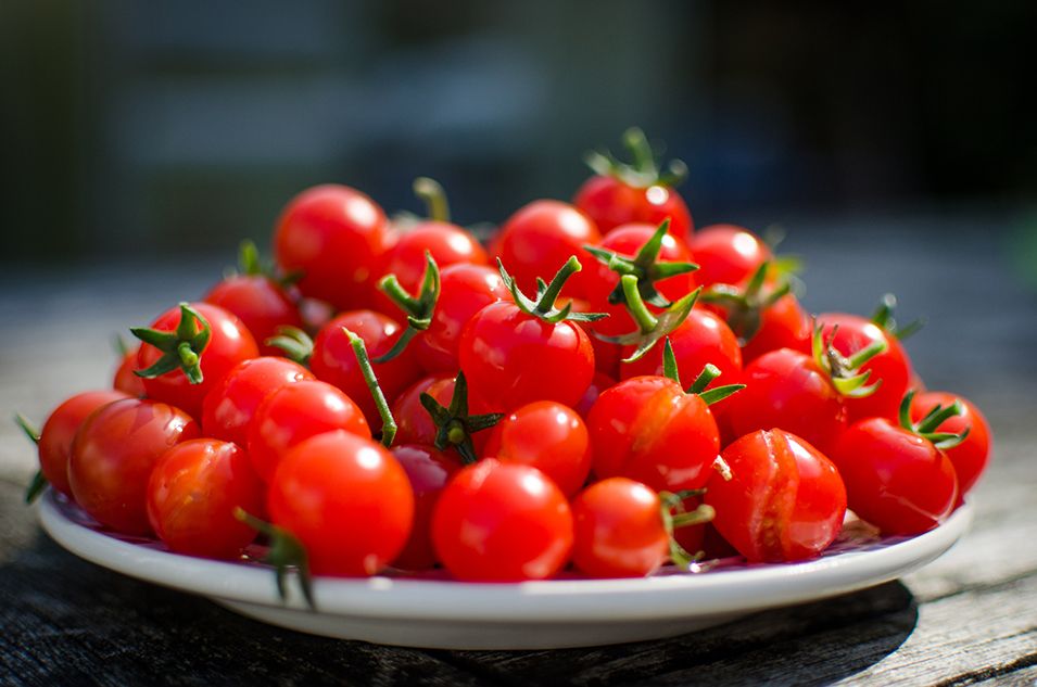 Red cherry tomatoes