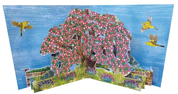 Trees: Hawthorn (Pop-Up Card)