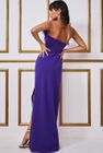 FEATHER BOOBTUBE MAXI DRESS