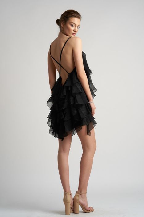 Short Silk Dress with Ruffles