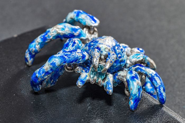 Blue tarantula - Giulia Iosco