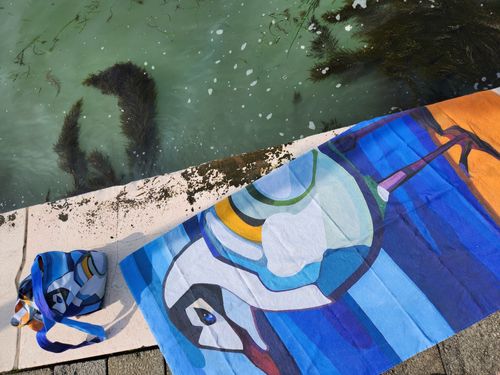 Beach Towels & Bags