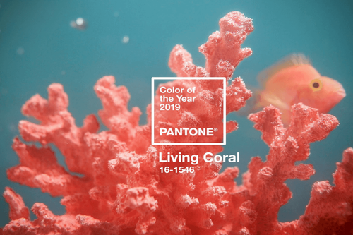 Newsletter #6: Living Coral on runways and in wardrobes