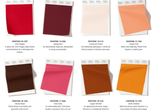 Newsletter #6: The Pantone colour forecasting process