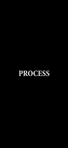 PROCESS