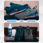 Shoe Cleaning Kit
