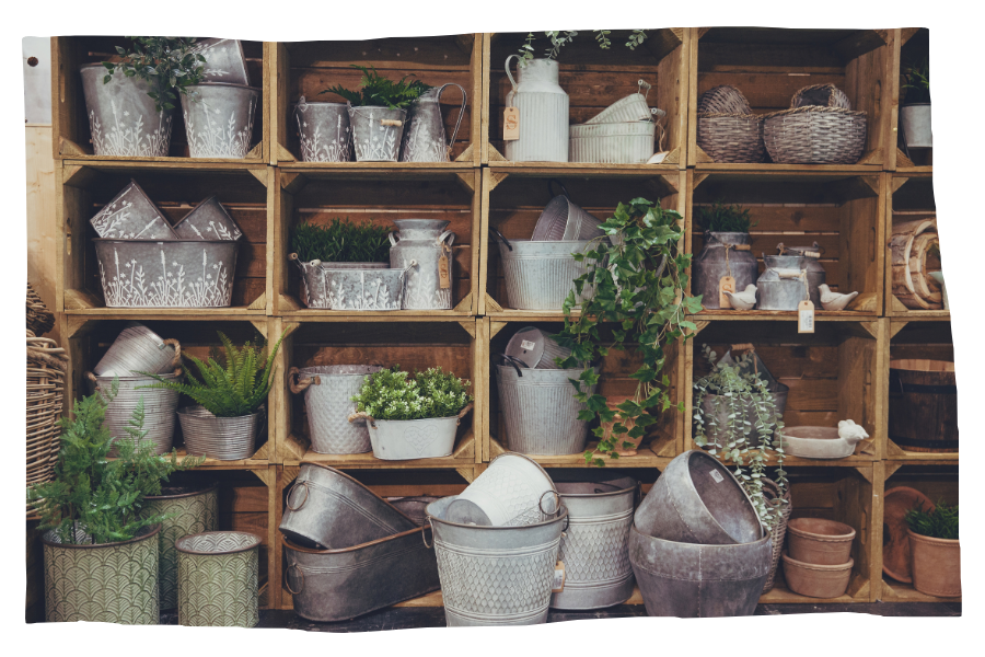 Potted plants and floral arrangements 