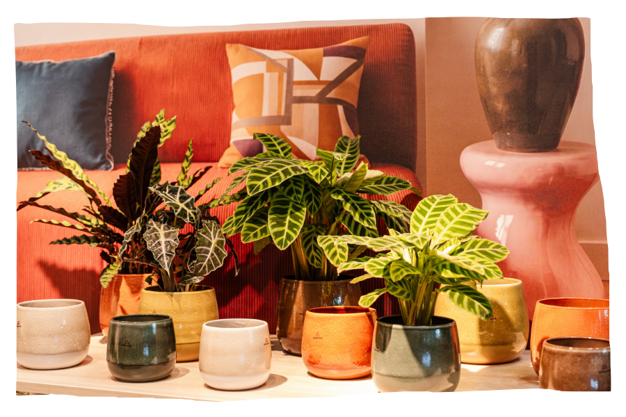 Garden giftware and outdoor pieces 