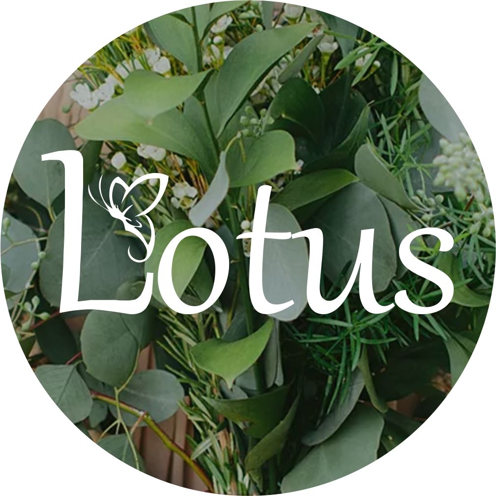Lotus Imports Limited