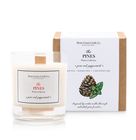 Winter Collection - Pine & Peppermint Candle