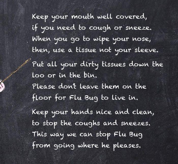 Flu Bug