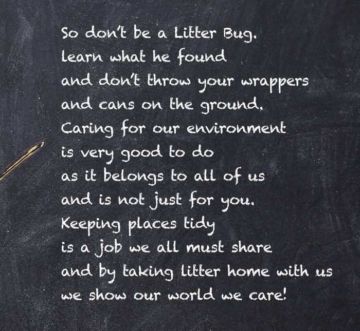 Litter Bug