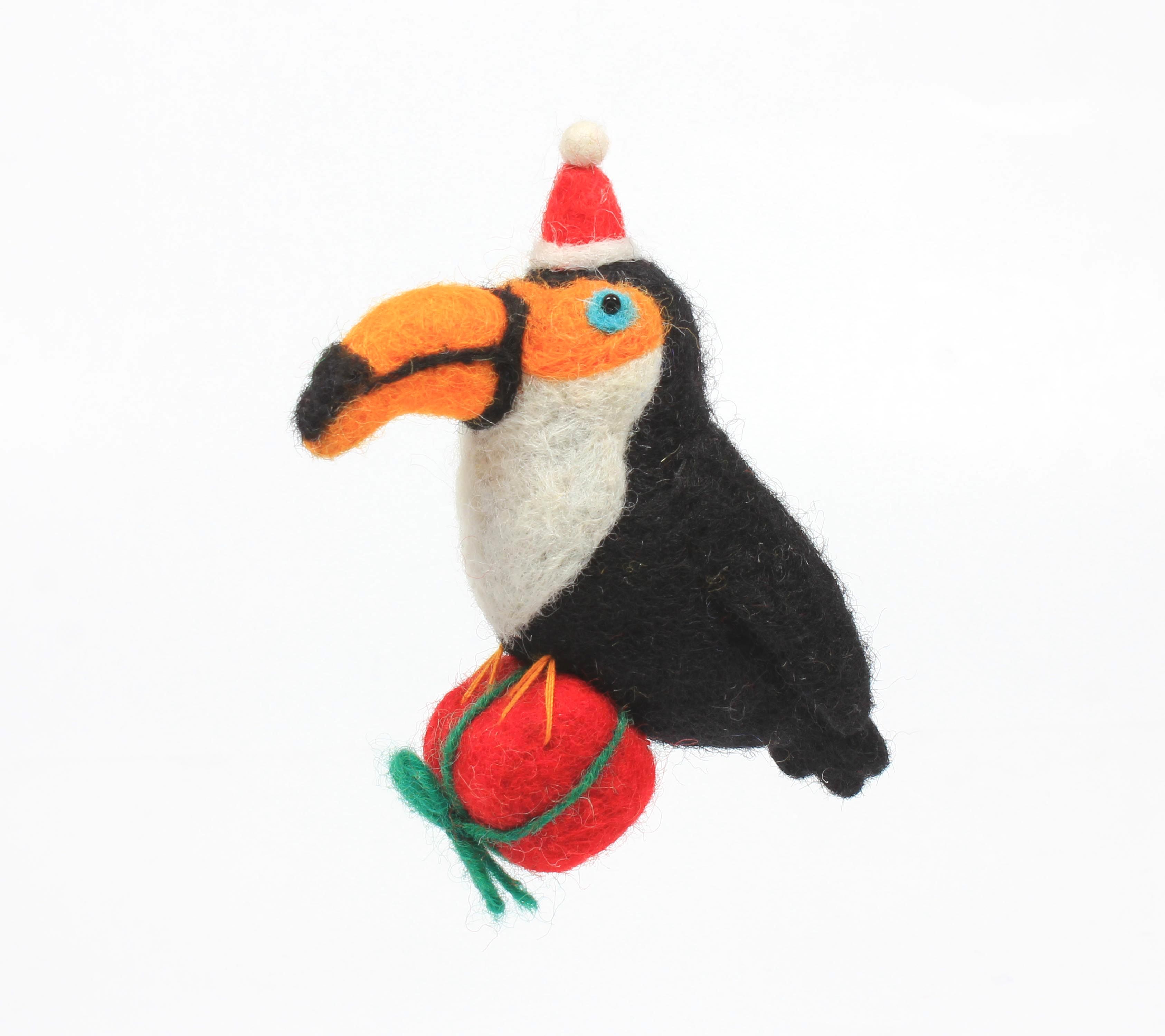 Toucan with Present