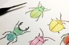 Ten Bugs Greetings Card
