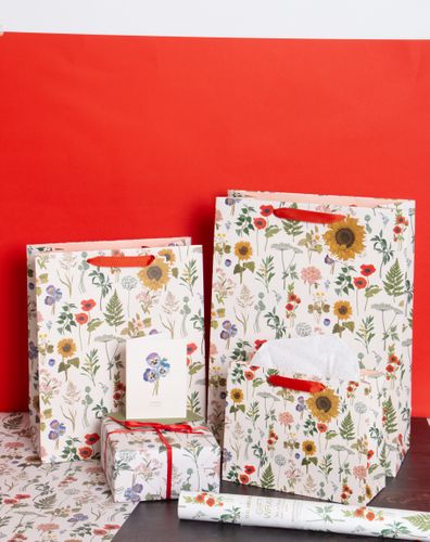 Art File Gift Packaging