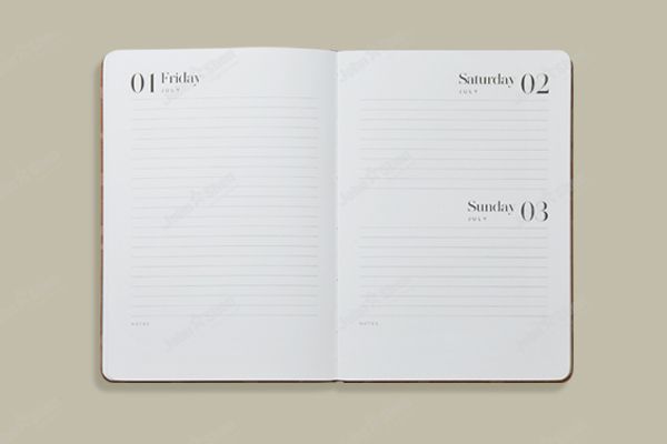 Daily Diary 2022