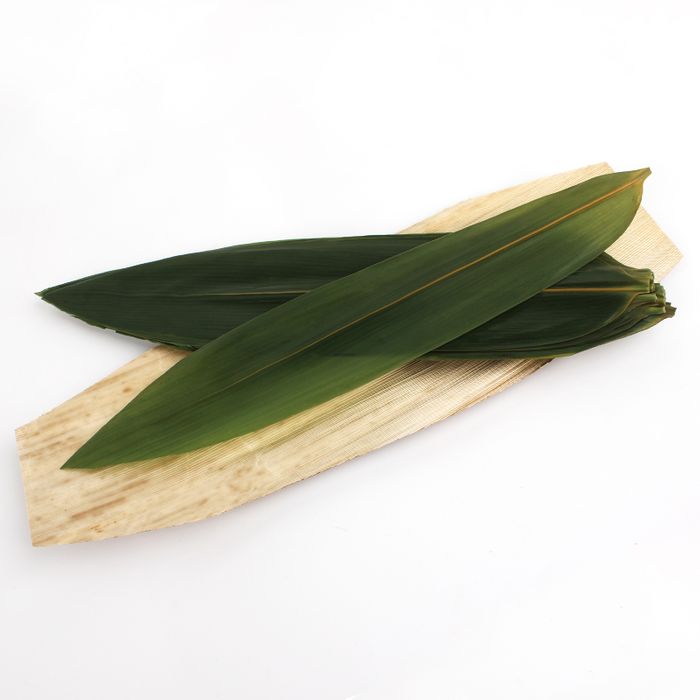 Fresh Bamboo Leaves