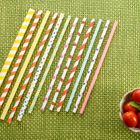 Biodegradable Paper Straw