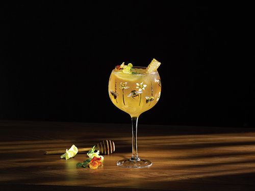 Ginology