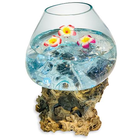 Root with Glass Bowl extra extra large