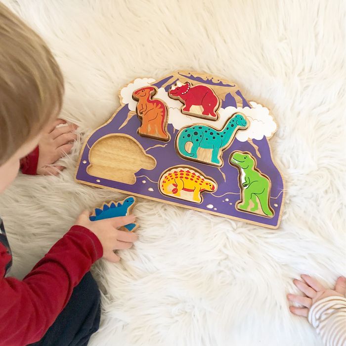 Lanka Kade Wooden Toy Shape Sorters