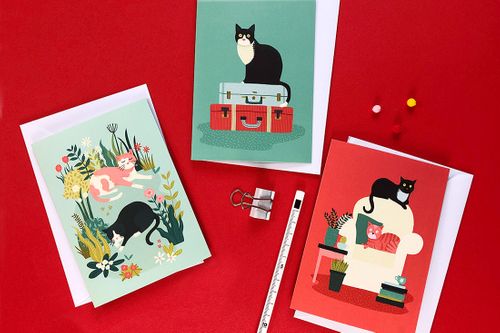 New range: Impractical Cats