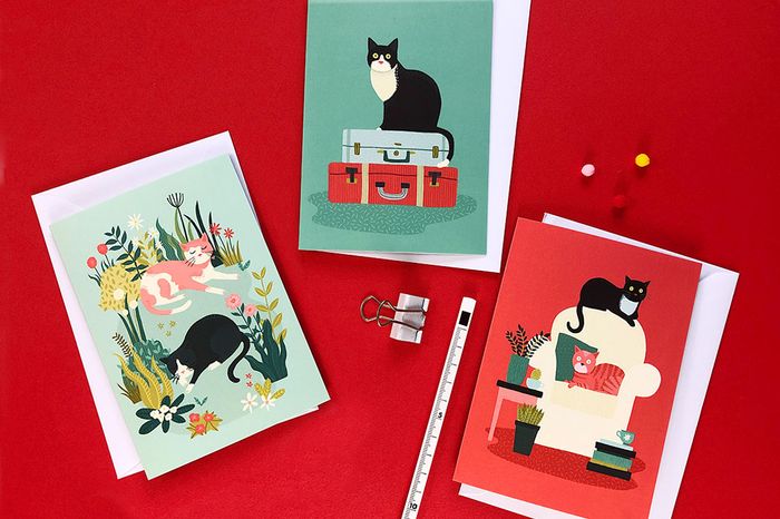 New range: Impractical Cats
