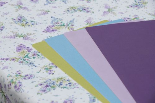 Wipe Clean Placemats