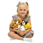 Wilberry Minis & Wilberry Favourites