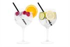 BALLOON GIN GLASS 600ML PS