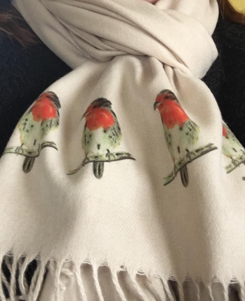 Robins handprinted on a Cashmere Blend scarf