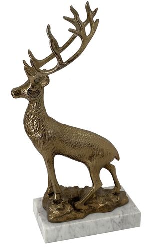 Elegance Beyond - Accessories