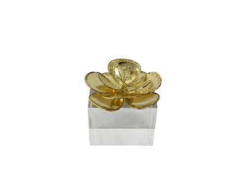 Elegance Beyond - Accessories