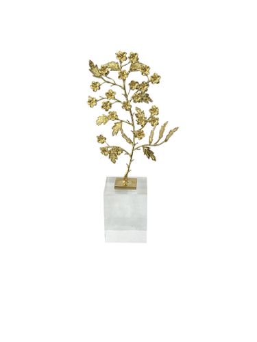 Elegance Beyond - Accessories