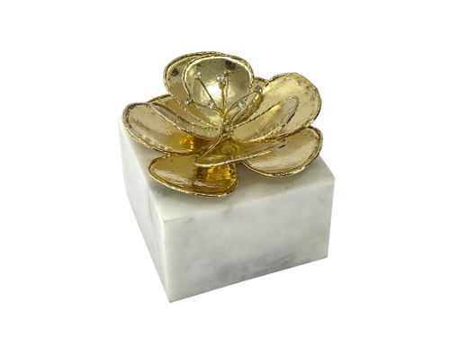 Elegance Beyond - Accessories