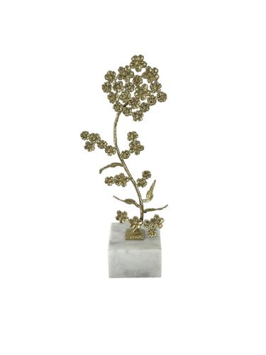 Elegance Beyond - Accessories