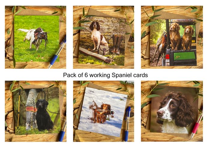 Dog cards and Gifts - Spring Fair 2027