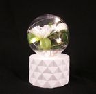 Luxa Plant Lamps