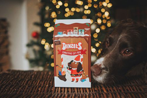 Celebration & Gifting Within the Pet Market