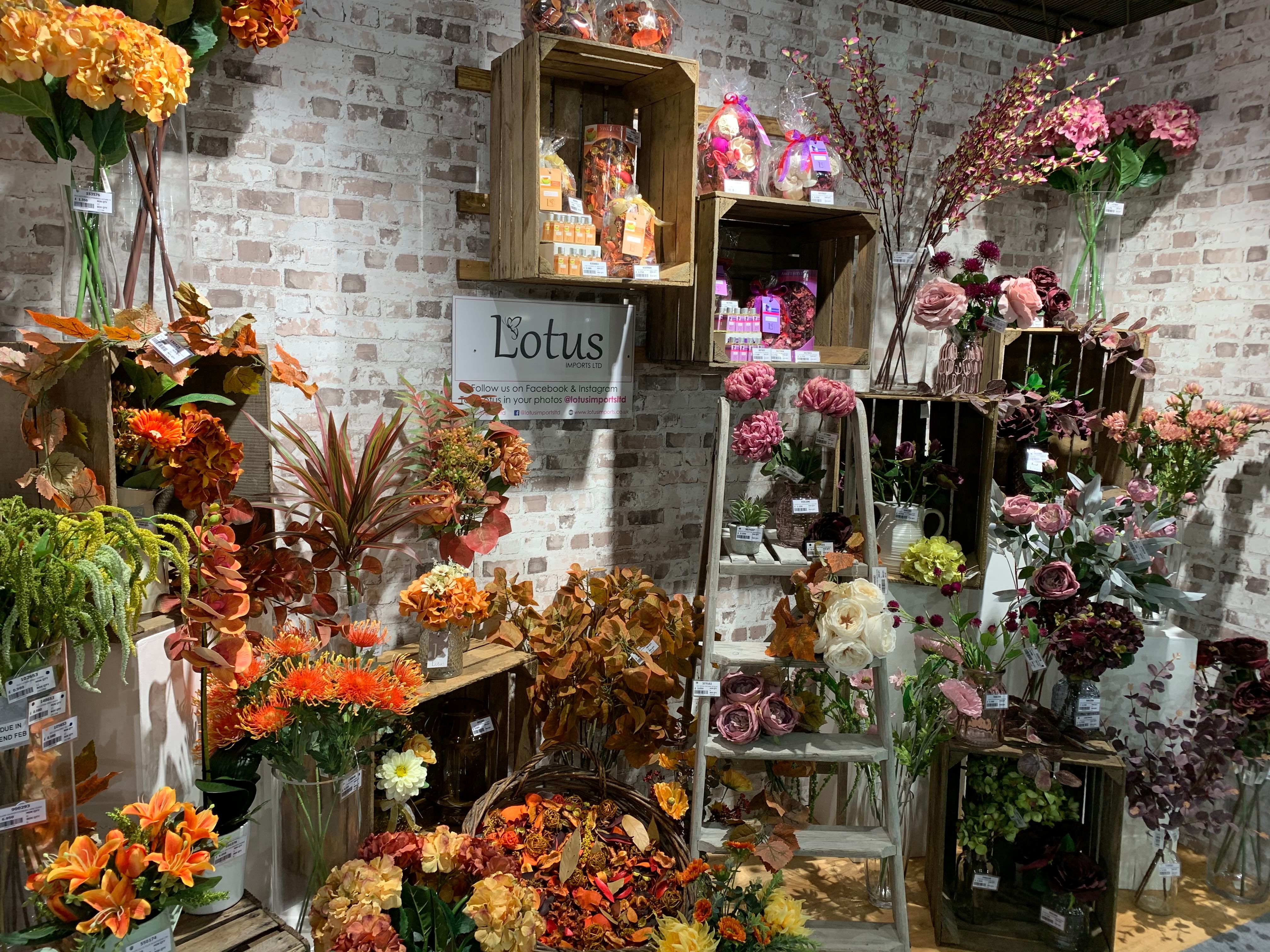 NEW Showroom