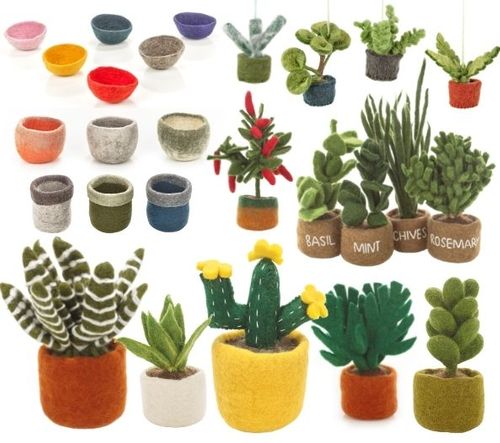 Plants & Cacti Collection