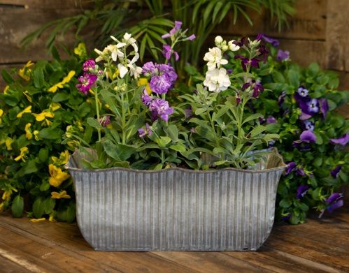 New for SS23 - Pots and Planters