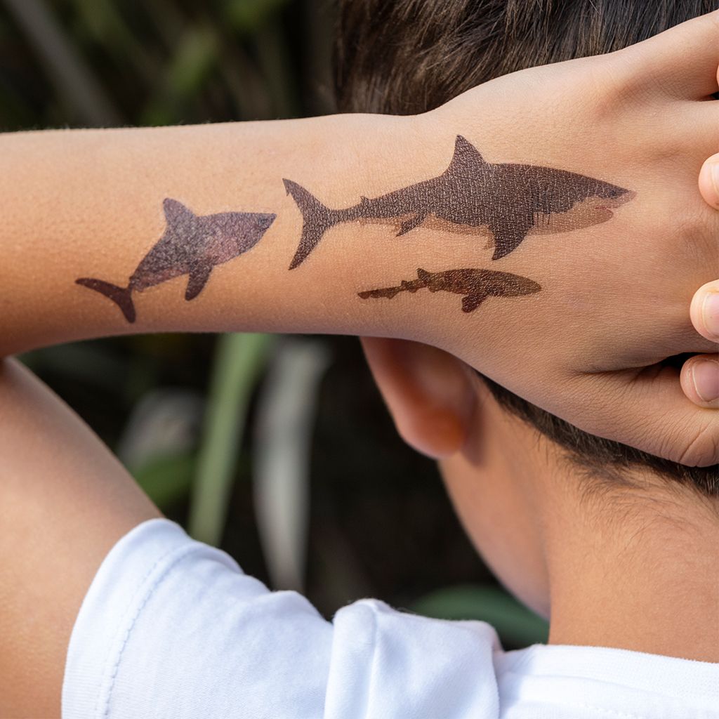 Sharks collection