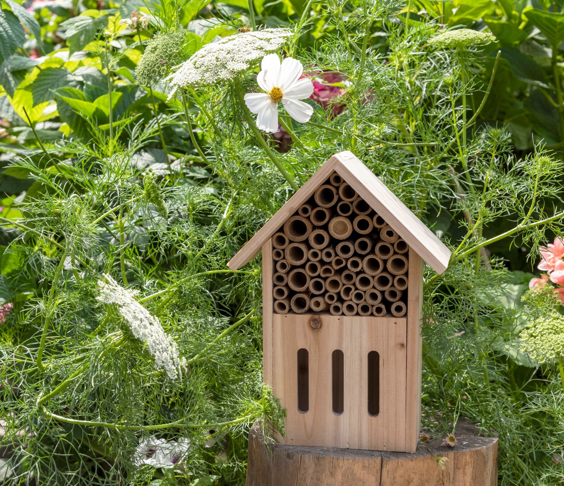 Gifts for the garden