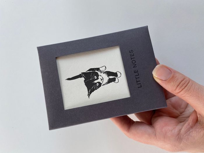 Notecard sets - plastic free