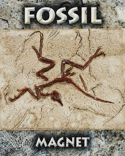 DINOSAUR FOSSIL MAGNET