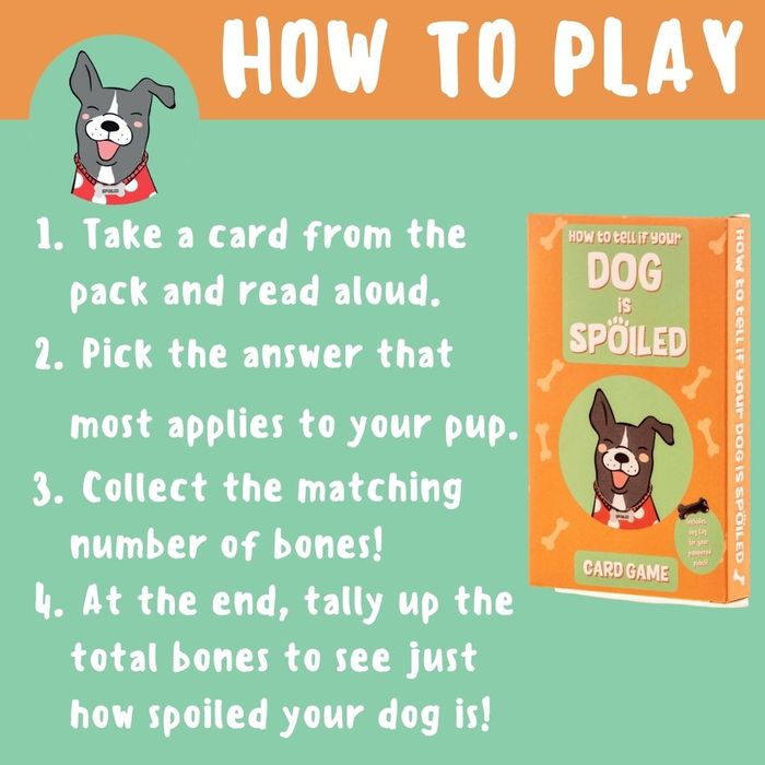 How to Tell If Your Dog is Spoiled - Game